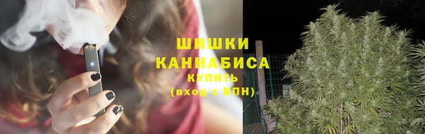 apvp Дубна