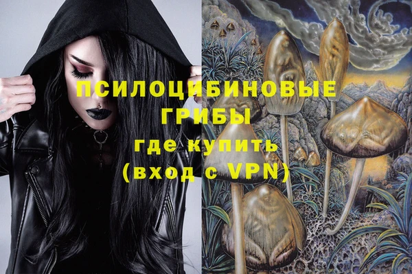 2c-b Липки