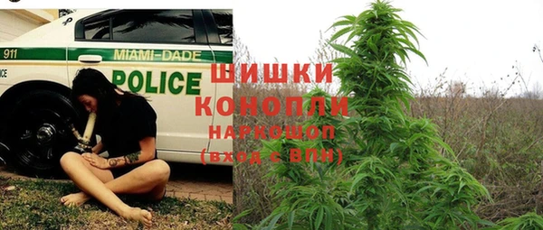 2c-b Липки