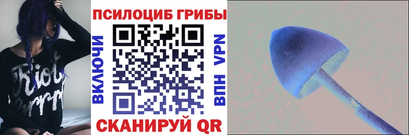 Галлюциногенные грибы мухоморы  Пудож 